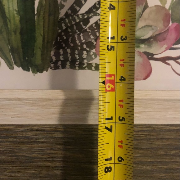 Picture - Picture 5 of 5